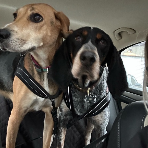 Meet your Posher, Lisa - Picture 12 of 12